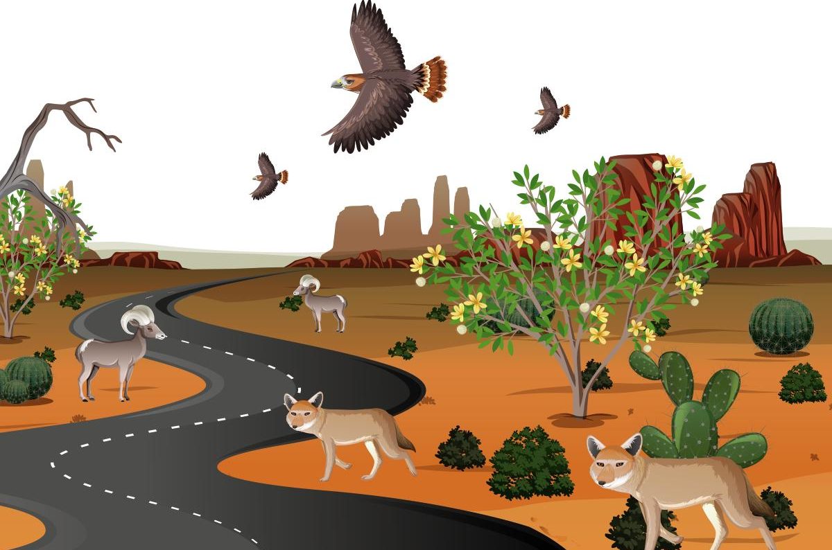 Bridging the Gap Between Roads and Wildlife